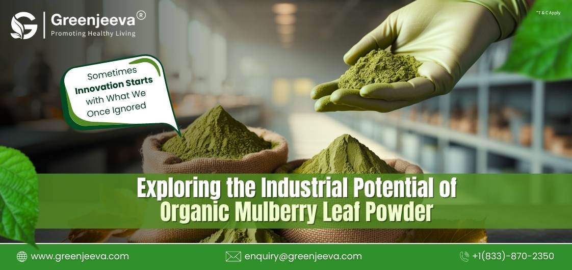 How Does Organic Mulberry Leaf Powder Fit into Modern Nutraceutical and Functional Food Formulations?